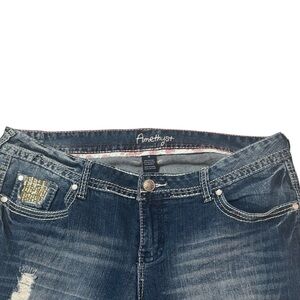 Amethyst Jeans Women's Faded Blue Skinny Jeans with Embellished Coin Pocket